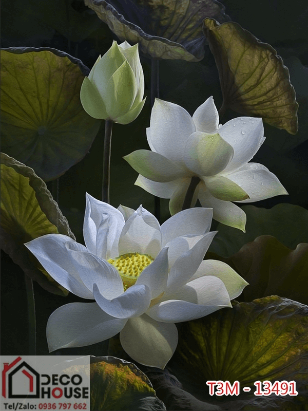 Tranh kính 3d hoa sen trắng